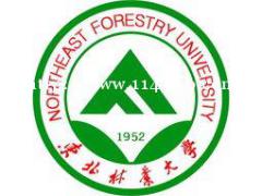 自考本科东北林业大学产品设计专业简单好拿证